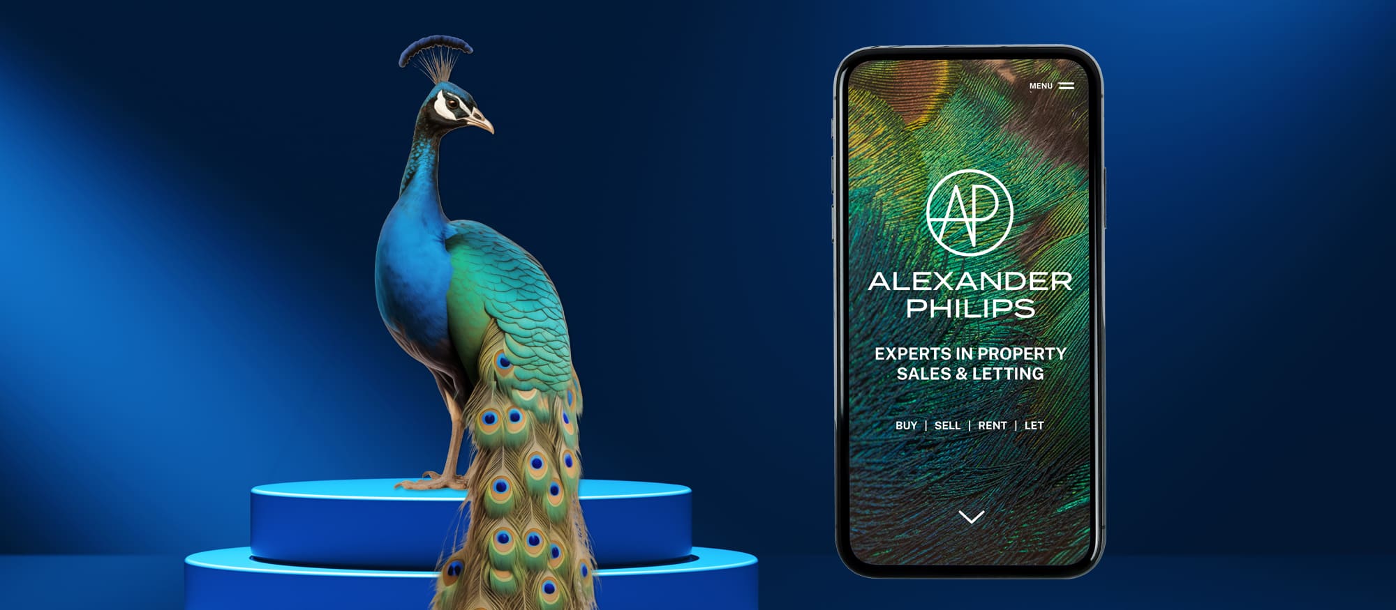 Graphic of a peacock standing on some steps, alongside a mobile screen showing the website for Alexander Philips estate agents