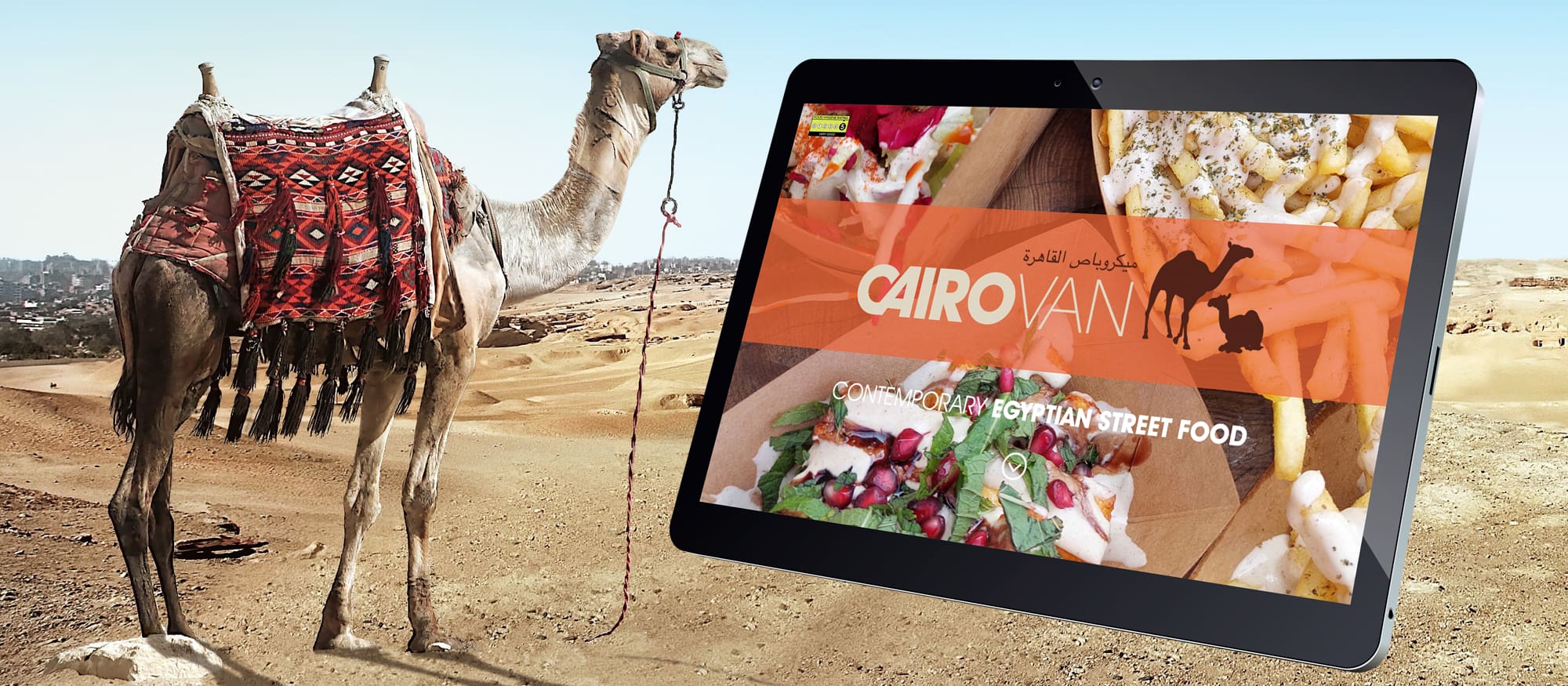 graphic of a camel by the pyramids, alongside the cairo van website shown on screen