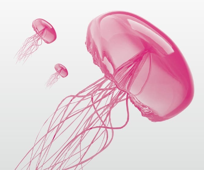 jelly fish graphics for tangent energy